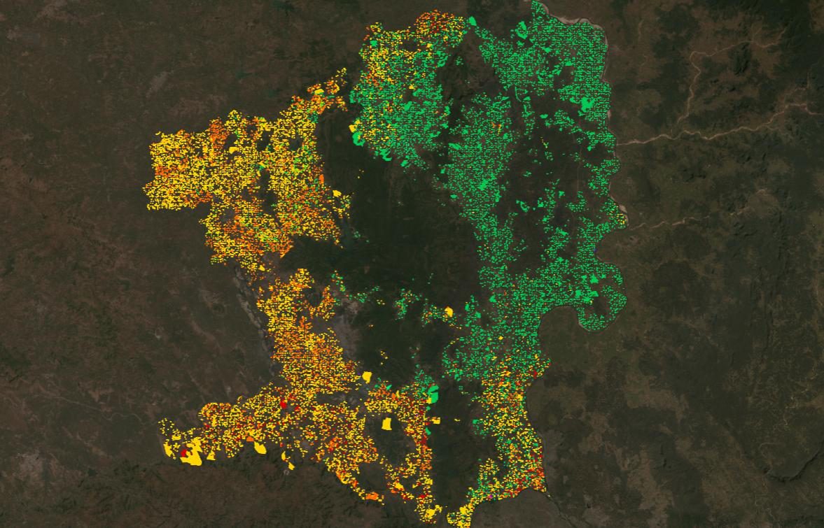Satellite crop map of Chandrapur district with financed paddy and cotton plots highlighted